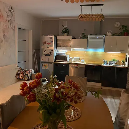 Apartment Na Topolowej